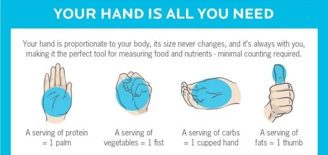 portion sizes