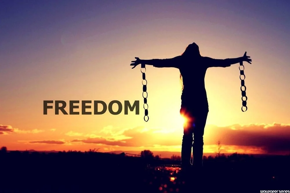 My exploration with Somatic Experiencing. What’s YOUR Missing Link?