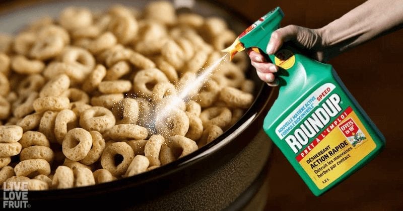 Glyphosate in Food: Complete List of Products and Brands Filled with Popular Cancer-Causing Weed-Killer