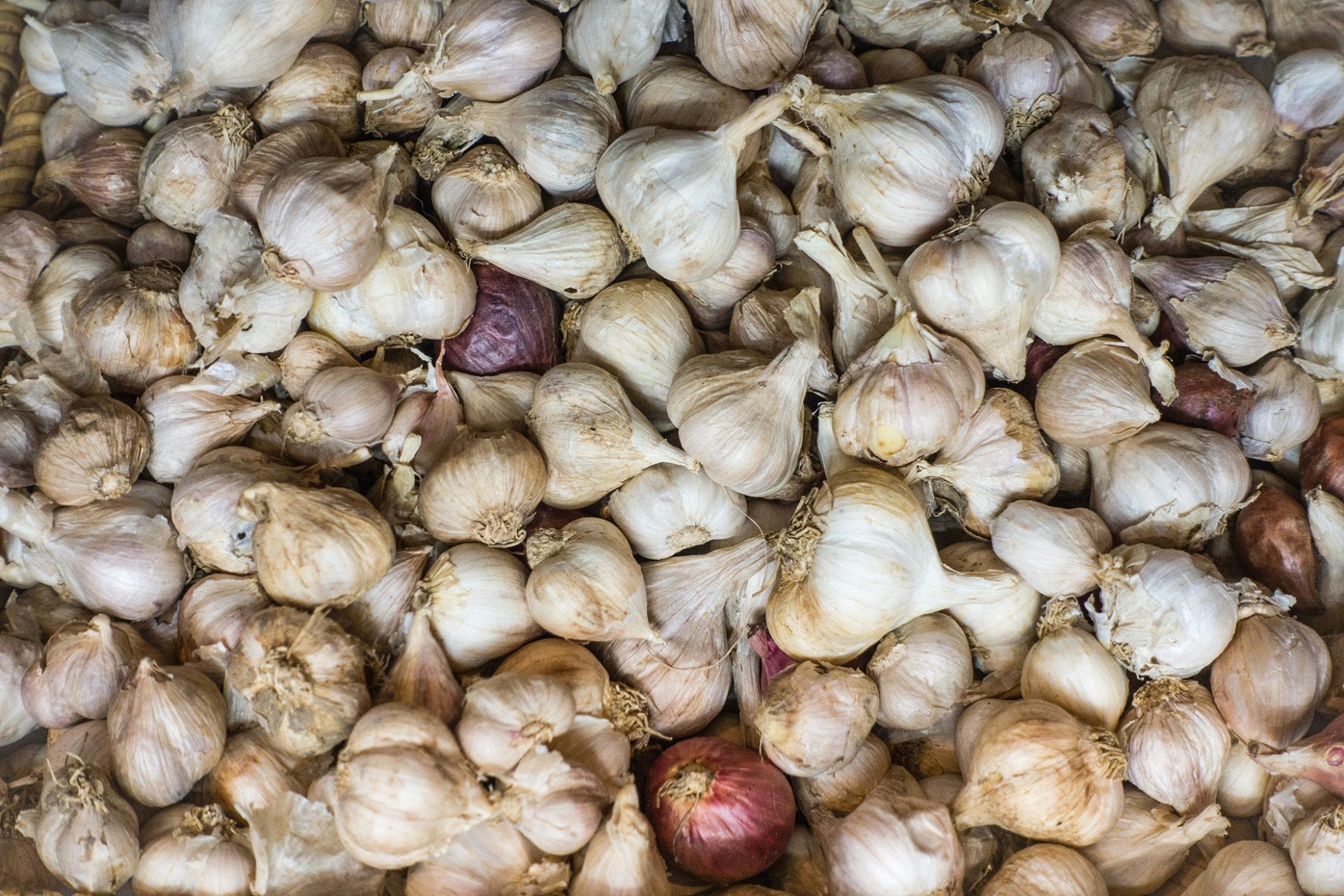 How to Stop a Cold with Garlic