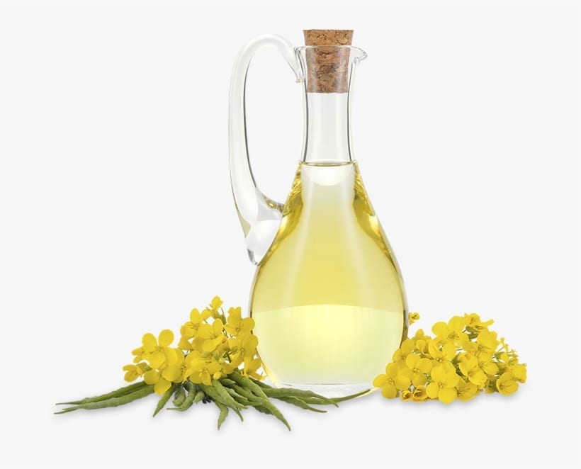 Health Coach Tip – Avoid Canola Oil – Frank Lipman MD