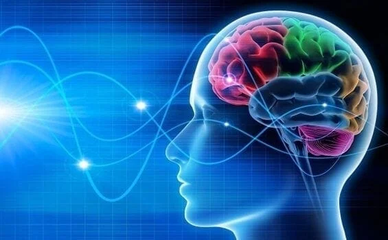 Rewire Your Brain To Be Well