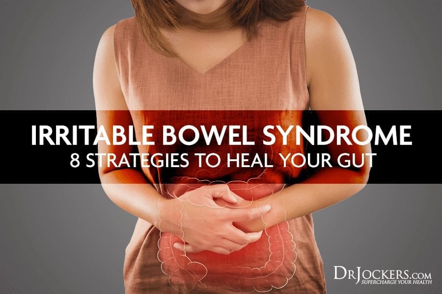 Irritable Bowel Syndrome: 8 Strategies to Heal Your Gut – DrJockers.com ...