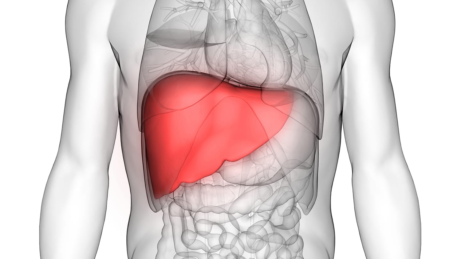 Liver Detox For A Sluggish Liver