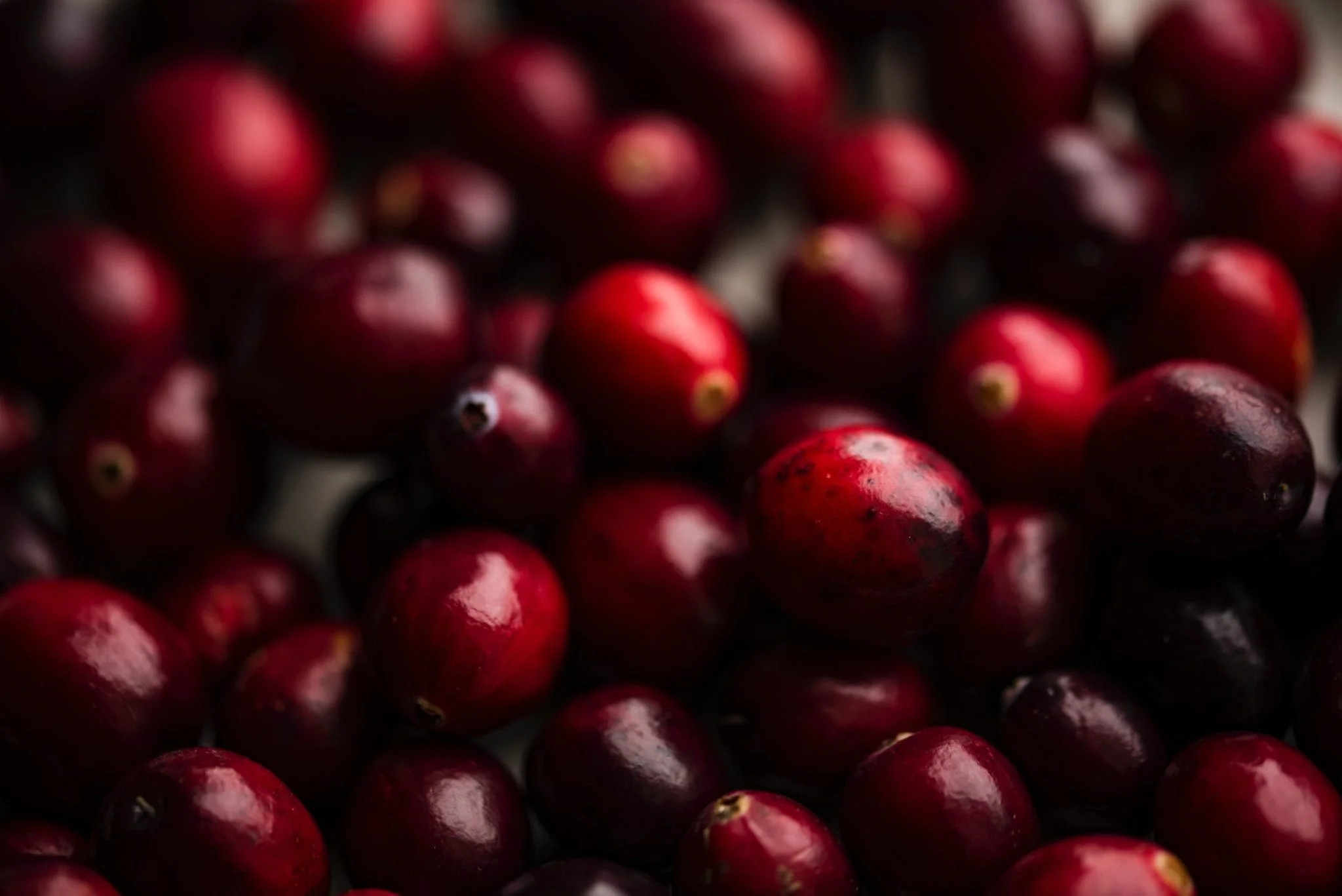 Superfoods for Herpes and Your Immune Health