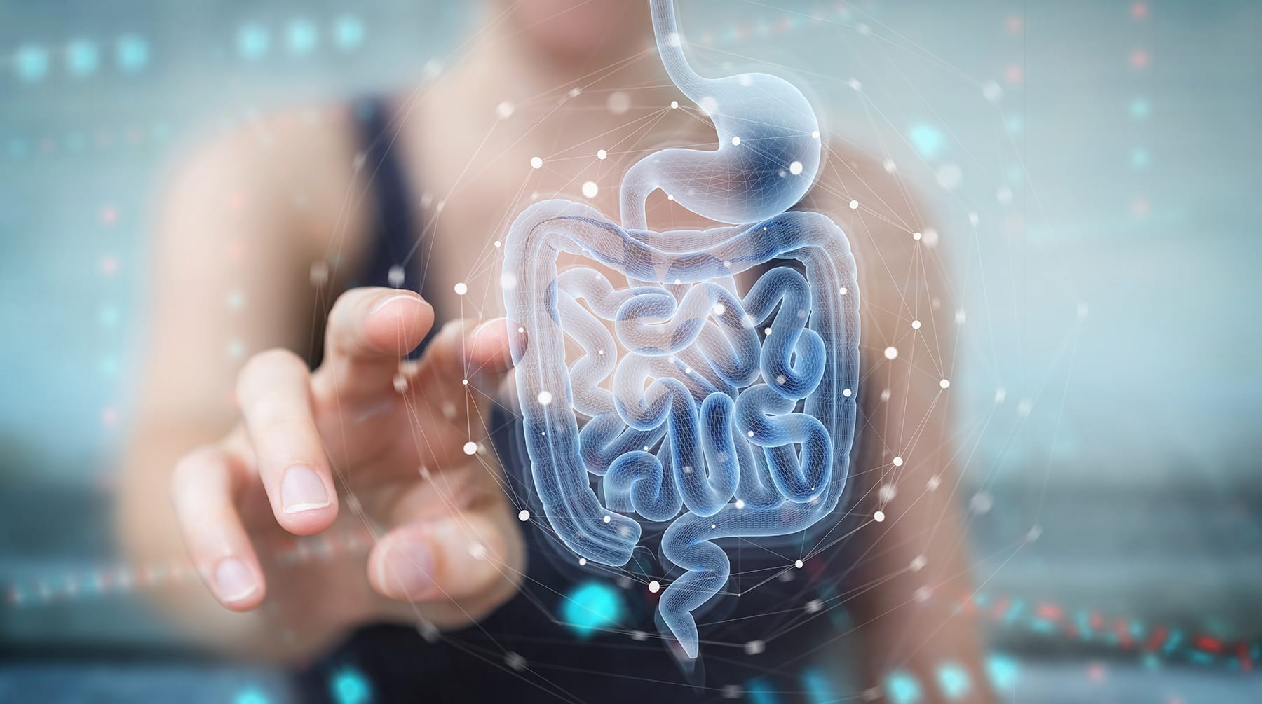 What Is Leaky Gut?