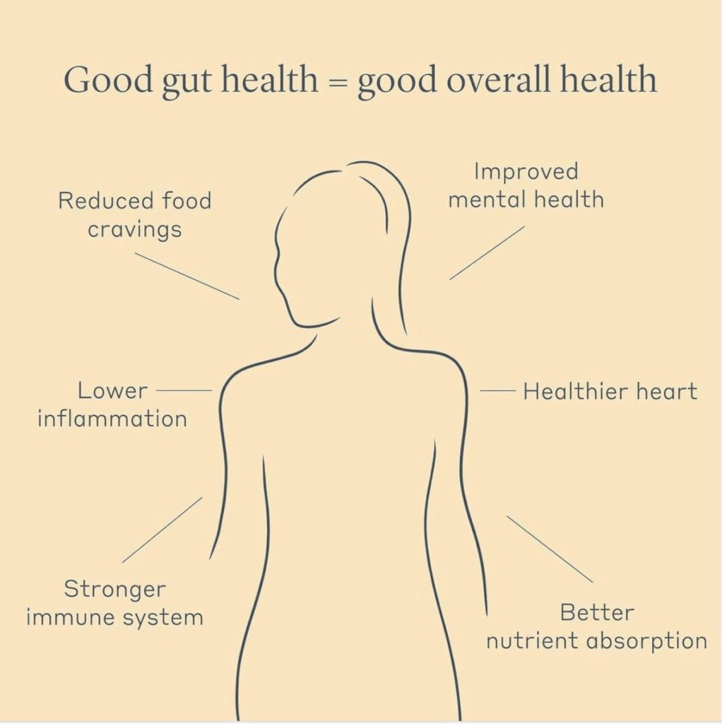 alt taggood gut health