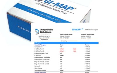 GI MAP and Other Functional Lab Testing