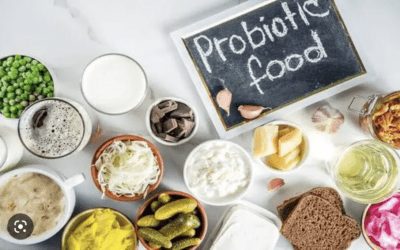 Probiotics for Gut Health