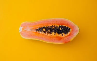 Gut Health Helps Fight Disease