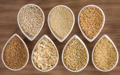 Negative Impact Of Grains on Your Gut