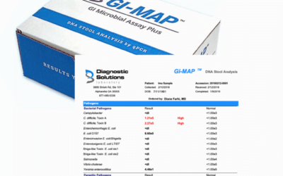 Understanding Leaky Gut and the GI-MAP Test