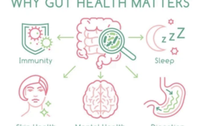 How Gut Health Affects Overall Health