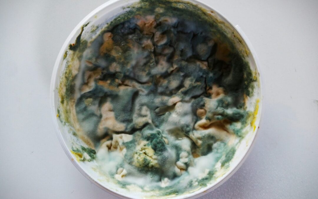 Mold, Gut Bacteria & Weight Gain — What’s the Connection?