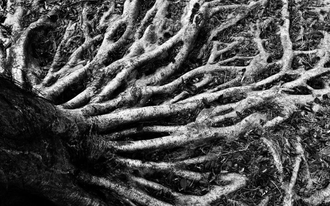 Functional Medicine Root Cause