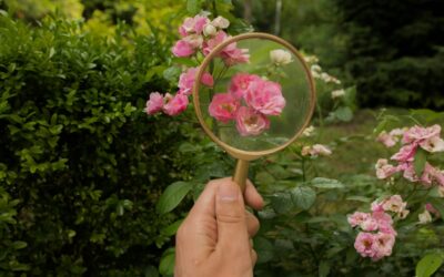 What is Functional Medicine?