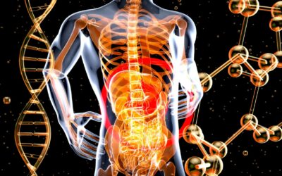 Functional Nutrition & Trauma-Informed Gut Health | Well Humans