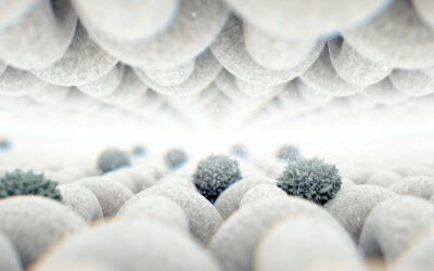 Biofilms and Recurrent Gut Infections: Why They Keep Coming Back