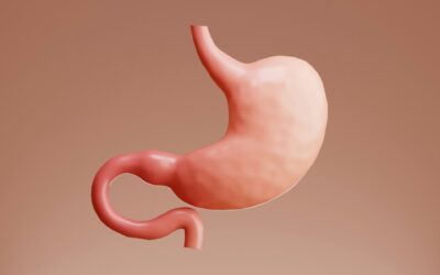 Alternative Treatments for H. Pylori: A Functional Approach to Healing
