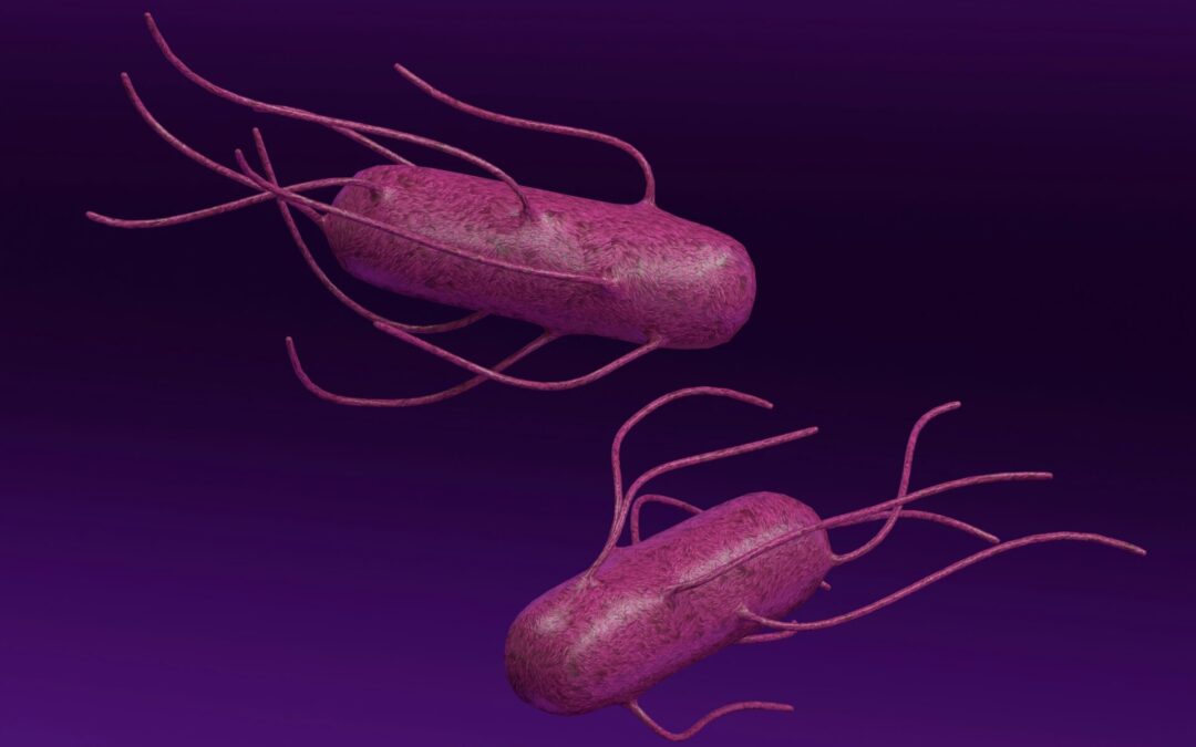 How Gut Bacteria Can Influence Systemic Inflammation