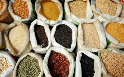 How Even Non-Gluten Grains Can Impact Gut Health and Inflammation